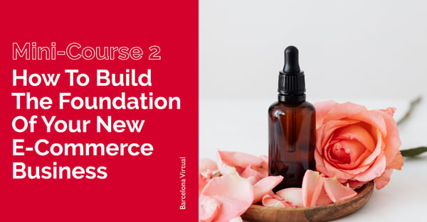 MINI-COURSE · 2 🔨 How to Build the Foundation of Your New e-Commerce Business